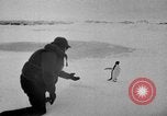 Image le personnel de la marine des États-Unis l'Antarctique, 1947, de la seconde 22 séquences d'archives historiques vidéo 65675062654