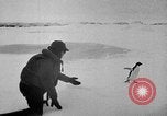 Image le personnel de la marine des États-Unis l'Antarctique, 1947, de la seconde 23 séquences d'archives historiques vidéo 65675062654