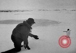 Image le personnel de la marine des États-Unis l'Antarctique, 1947, de la seconde 24 séquences d'archives historiques vidéo 65675062654