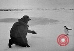 Image le personnel de la marine des États-Unis l'Antarctique, 1947, de la seconde 25 séquences d'archives historiques vidéo 65675062654
