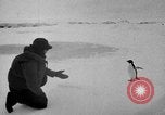 Image le personnel de la marine des États-Unis l'Antarctique, 1947, de la seconde 26 séquences d'archives historiques vidéo 65675062654