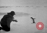 Image le personnel de la marine des États-Unis l'Antarctique, 1947, de la seconde 27 séquences d'archives historiques vidéo 65675062654