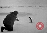 Image le personnel de la marine des États-Unis l'Antarctique, 1947, de la seconde 28 séquences d'archives historiques vidéo 65675062654