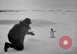 Image le personnel de la marine des États-Unis l'Antarctique, 1947, de la seconde 29 séquences d'archives historiques vidéo 65675062654