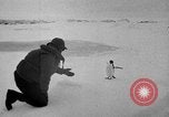 Image le personnel de la marine des États-Unis l'Antarctique, 1947, de la seconde 30 séquences d'archives historiques vidéo 65675062654