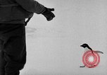 Image le personnel de la marine des États-Unis l'Antarctique, 1947, de la seconde 35 séquences d'archives historiques vidéo 65675062654