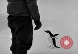 Image le personnel de la marine des États-Unis l'Antarctique, 1947, de la seconde 37 séquences d'archives historiques vidéo 65675062654