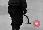 Image le personnel de la marine des États-Unis l'Antarctique, 1947, de la seconde 38 séquences d'archives historiques vidéo 65675062654