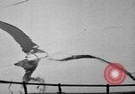 Image le personnel de la marine des États-Unis l'Antarctique, 1947, de la seconde 9 séquences d'archives historiques vidéo 65675062656
