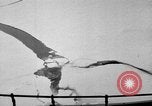 Image le personnel de la marine des États-Unis l'Antarctique, 1947, de la seconde 10 séquences d'archives historiques vidéo 65675062656