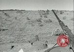 Image of The American Army Service forces European Theater, 1943, second 56 stock footage video 65675062661