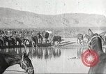 Immagine di 1a divisione di cavalleria Texas Sacramento Mountains USA, 1931, secondo 34 filmato di repertorio 65675062666