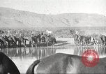 Immagine di 1a divisione di cavalleria Texas Sacramento Mountains USA, 1931, secondo 38 filmato di repertorio 65675062666