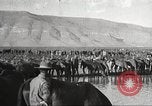 Immagine di 1a divisione di cavalleria Texas Sacramento Mountains USA, 1931, secondo 58 filmato di repertorio 65675062666