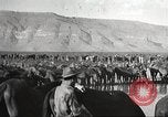 Immagine di 1a divisione di cavalleria Texas Sacramento Mountains USA, 1931, secondo 62 filmato di repertorio 65675062666