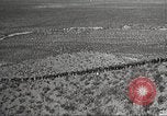 Immagine di 1a divisione di cavalleria Texas Sacramento Mountains USA, 1931, secondo 12 filmato di repertorio 65675062667