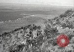 Immagine di 1a divisione di cavalleria Texas Sacramento Mountains USA, 1931, secondo 28 filmato di repertorio 65675062667