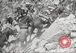 Immagine di 1a divisione di cavalleria Texas Sacramento Mountains USA, 1931, secondo 48 filmato di repertorio 65675062667