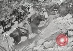 Immagine di 1a divisione di cavalleria Texas Sacramento Mountains USA, 1931, secondo 49 filmato di repertorio 65675062667