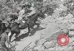 Immagine di 1a divisione di cavalleria Texas Sacramento Mountains USA, 1931, secondo 53 filmato di repertorio 65675062667