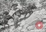 Immagine di 1a divisione di cavalleria Texas Sacramento Mountains USA, 1931, secondo 54 filmato di repertorio 65675062667