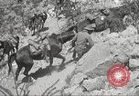 Immagine di 1a divisione di cavalleria Texas Sacramento Mountains USA, 1931, secondo 55 filmato di repertorio 65675062667
