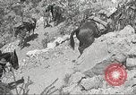 Immagine di 1a divisione di cavalleria Texas Sacramento Mountains USA, 1931, secondo 57 filmato di repertorio 65675062667