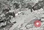 Immagine di 1a divisione di cavalleria Texas Sacramento Mountains USA, 1931, secondo 58 filmato di repertorio 65675062667