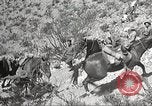Immagine di 1a divisione di cavalleria Texas Sacramento Mountains USA, 1931, secondo 59 filmato di repertorio 65675062667