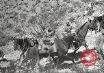 Immagine di 1a divisione di cavalleria Texas Sacramento Mountains USA, 1931, secondo 62 filmato di repertorio 65675062667