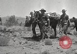 Immagine di 1a divisione di cavalleria Texas Sacramento Mountains USA, 1931, secondo 8 filmato di repertorio 65675062668