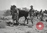 Immagine di 1a divisione di cavalleria Texas Sacramento Mountains USA, 1931, secondo 9 filmato di repertorio 65675062668