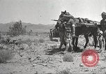 Immagine di 1a divisione di cavalleria Texas Sacramento Mountains USA, 1931, secondo 13 filmato di repertorio 65675062668