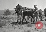 Immagine di 1a divisione di cavalleria Texas Sacramento Mountains USA, 1931, secondo 14 filmato di repertorio 65675062668
