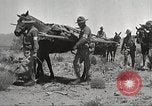 Immagine di 1a divisione di cavalleria Texas Sacramento Mountains USA, 1931, secondo 15 filmato di repertorio 65675062668