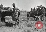 Immagine di 1a divisione di cavalleria Texas Sacramento Mountains USA, 1931, secondo 16 filmato di repertorio 65675062668