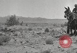 Immagine di 1a divisione di cavalleria Texas Sacramento Mountains USA, 1931, secondo 24 filmato di repertorio 65675062668
