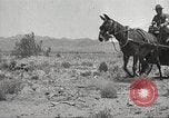 Immagine di 1a divisione di cavalleria Texas Sacramento Mountains USA, 1931, secondo 25 filmato di repertorio 65675062668