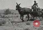 Immagine di 1a divisione di cavalleria Texas Sacramento Mountains USA, 1931, secondo 26 filmato di repertorio 65675062668