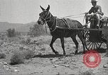 Immagine di 1a divisione di cavalleria Texas Sacramento Mountains USA, 1931, secondo 27 filmato di repertorio 65675062668