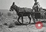 Immagine di 1a divisione di cavalleria Texas Sacramento Mountains USA, 1931, secondo 28 filmato di repertorio 65675062668
