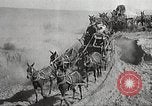 Immagine di 1a divisione di cavalleria Texas United States USA, 1931, secondo 38 filmato di repertorio 65675062670