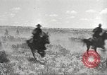 Immagine di 1a divisione di cavalleria Texas Sacramento Mountains USA, 1931, secondo 35 filmato di repertorio 65675062672