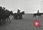 Image of Patrick J Hurley Texas United States USA, 1931, second 44 stock footage video 65675062674