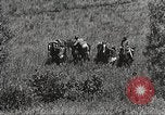 Image of Cavalry Rifle Platoon Kansas United States USA, 1933, second 10 stock footage video 65675062676