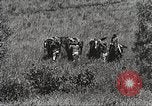 Image of Cavalry Rifle Platoon Kansas United States USA, 1933, second 11 stock footage video 65675062676