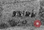 Image of Cavalry Rifle Platoon Kansas United States USA, 1933, second 12 stock footage video 65675062676