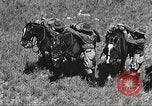 Image of Cavalry Rifle Platoon Kansas United States USA, 1933, second 13 stock footage video 65675062676