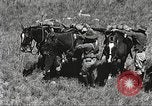 Image of Cavalry Rifle Platoon Kansas United States USA, 1933, second 17 stock footage video 65675062676