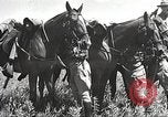 Image of Cavalry Rifle Platoon Kansas United States USA, 1933, second 27 stock footage video 65675062676